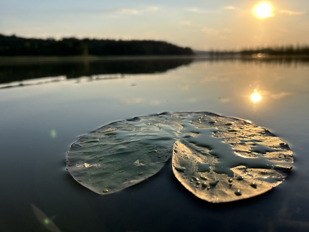 PilarovaDaniela's tweet image. Mácháč má svý kouzlo……..jen ho umět najít #machac