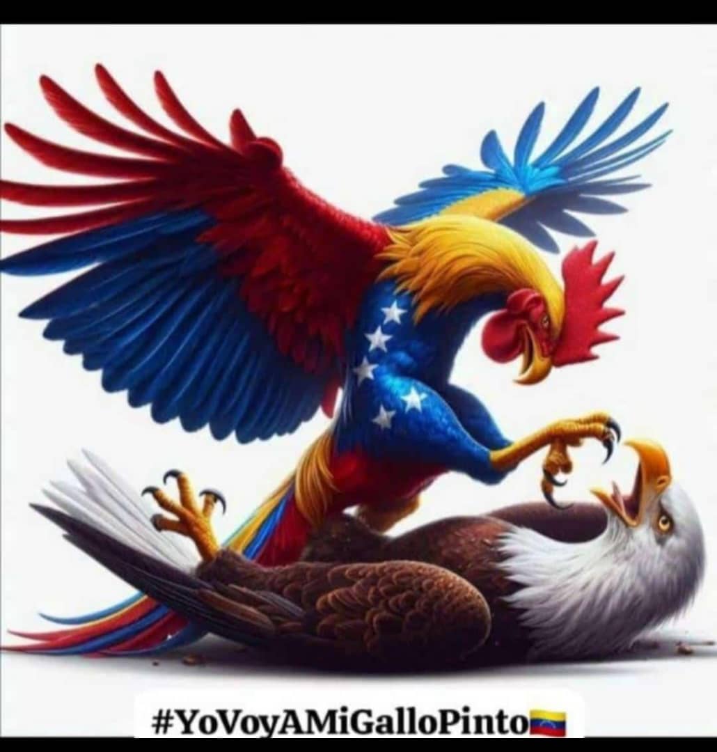 #YoVoyAMiGalloPinto <a href="/luchaalmada/">Alfred Nazareth</a> <a href="/HectoRodriguez/">Héctor Rodríguez C.</a> <a href="/BrigadasCHCH/">Brigadas comunicacionales Hugo Chávez</a>