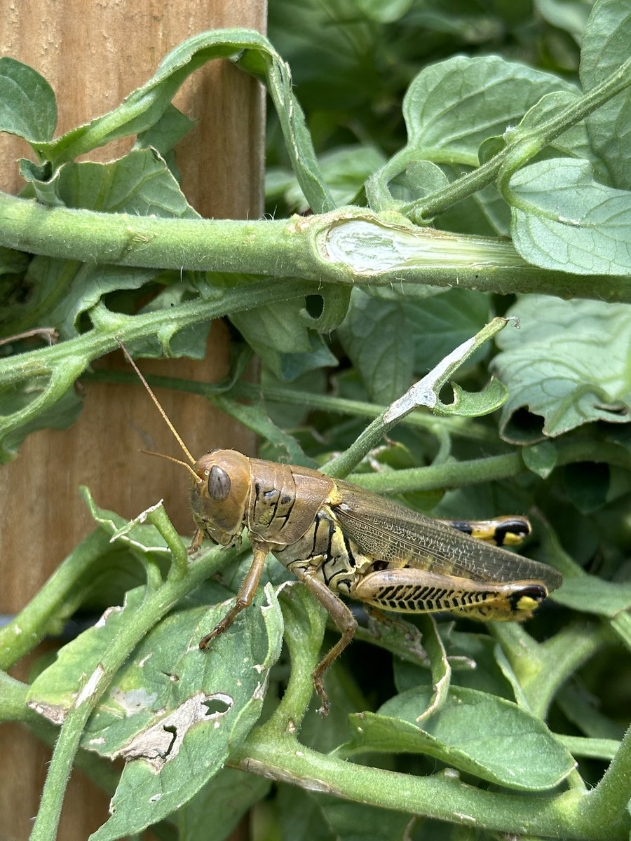 Amalia Sollars tweet media