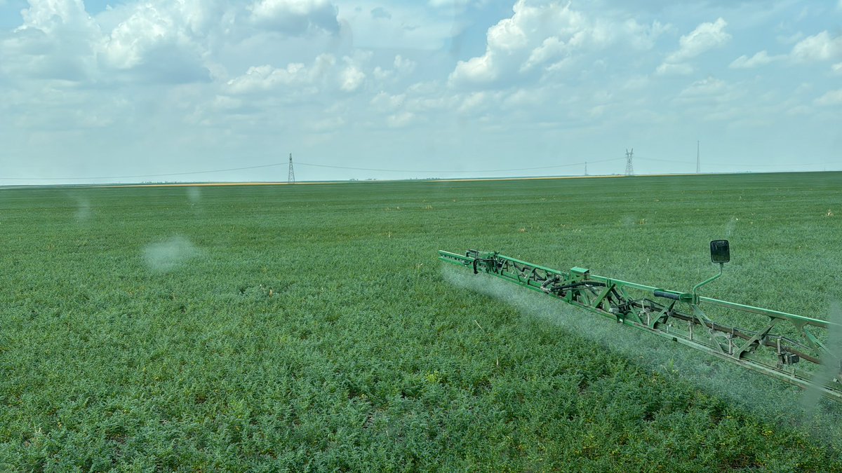 2024 Second pass fungicide on garbs