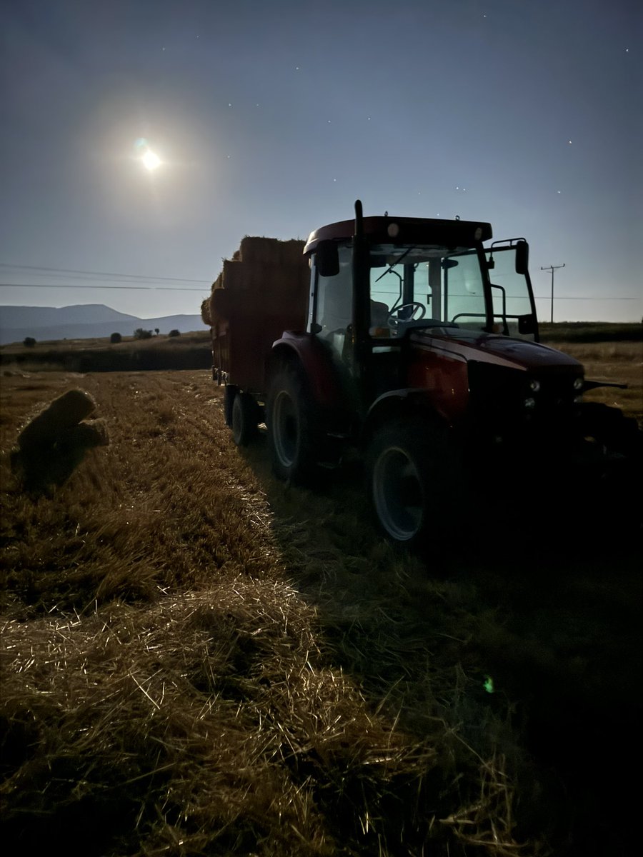 Herkes tatilde deniz fotoğrafı paylaşırken benim manzaram bu. Çünkü benim yardım etmem gereken bir babam var 😌