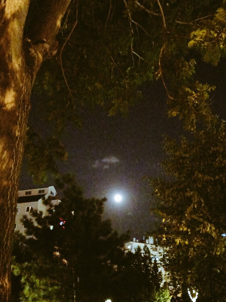 potirbinsin's tweet photo. #Eskişehir #dolunay #ritueller #dualar
Aldimkabulettim https://t.co/sjVH1bu4bx