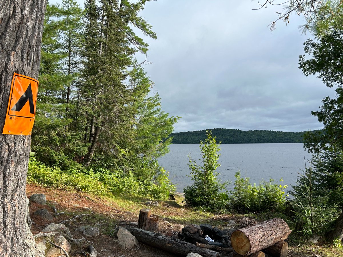 Heather Theijsmeijer tweet media