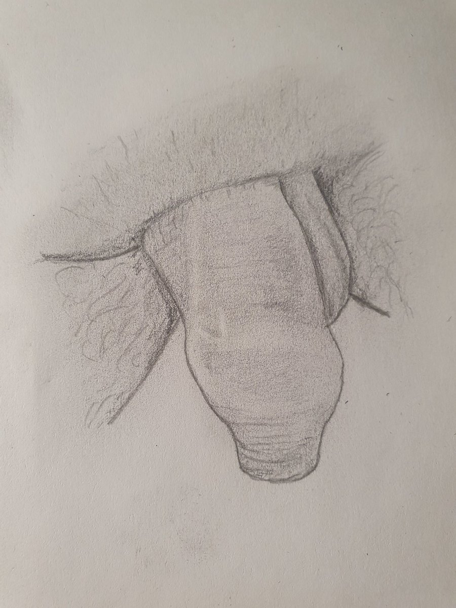 faceworkmakeup's tweet photo. Heute war mir mal nach softies #gay #gayart #uncut #drawing #zeichnen #gayduisburg #phallusart #gayromeo https://t.co/rrpSGbH8hb