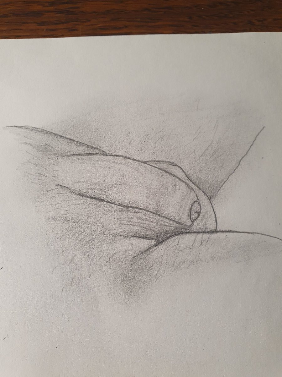 faceworkmakeup's tweet photo. Heute war mir mal nach softies #gay #gayart #uncut #drawing #zeichnen #gayduisburg #phallusart #gayromeo https://t.co/rrpSGbH8hb