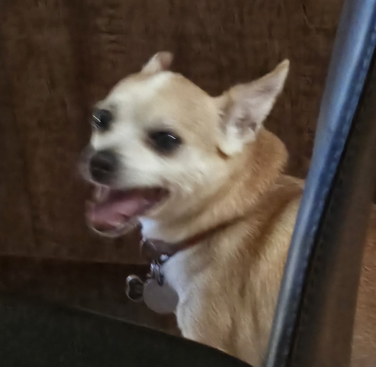 AzaCap | Vtuber tweet media