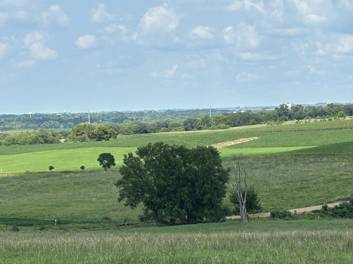 I doubt that the view from my family’s 1907 homesteaded place has ever been so green looking towards Palmyra, NE, in late July.
