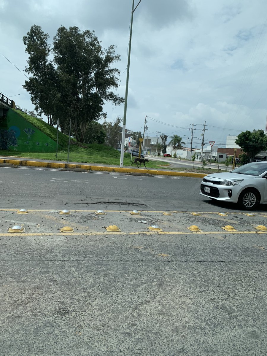 Jesús Velázquez tweet media