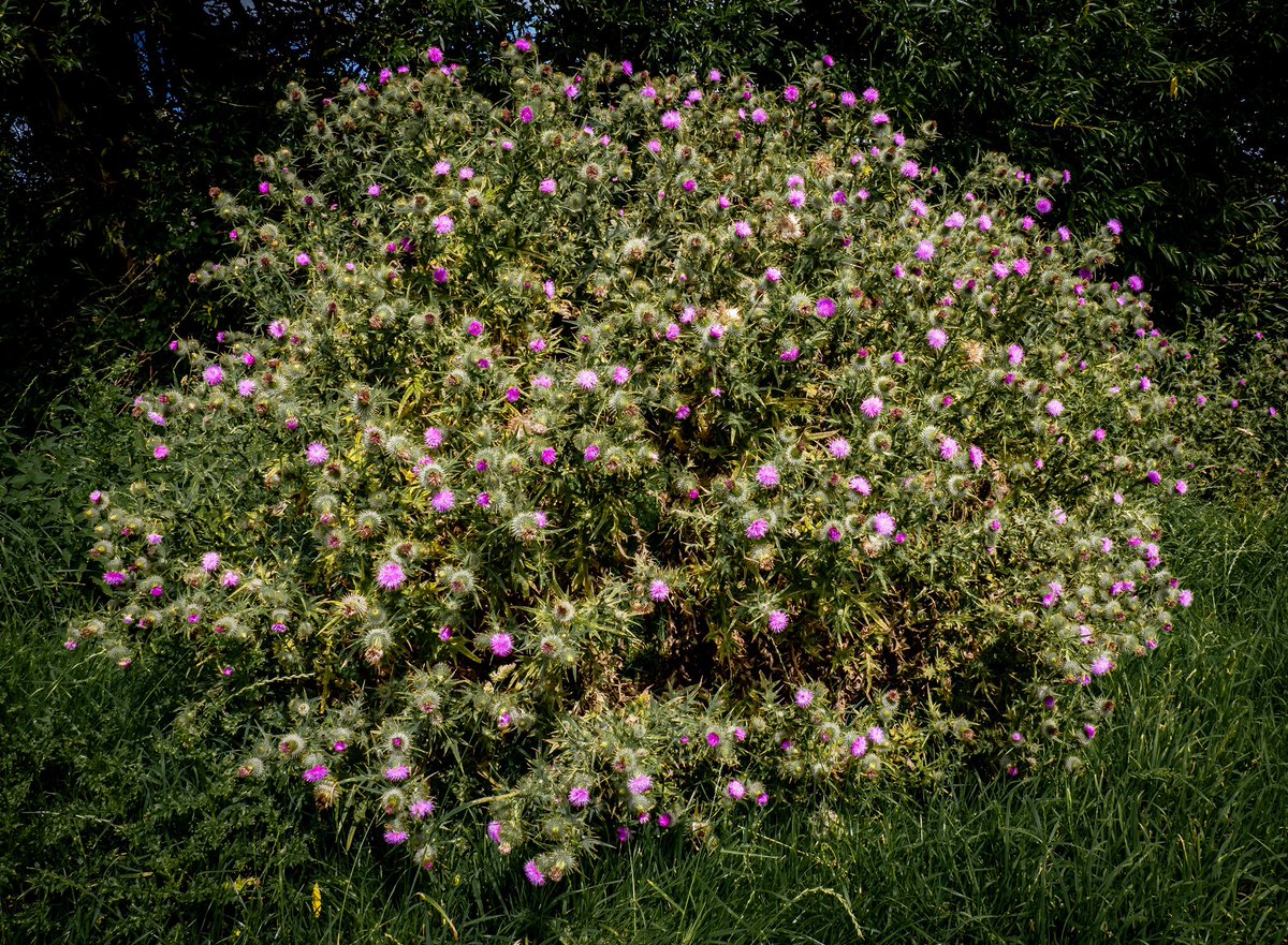 Robin Baker tweet media