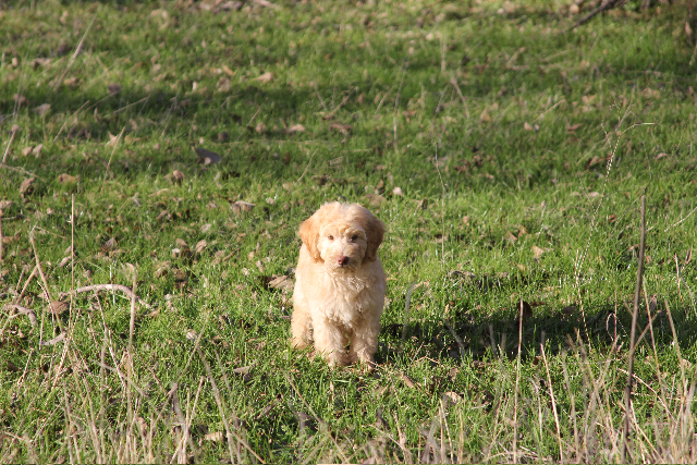 Ray [REDACTED] tweet media