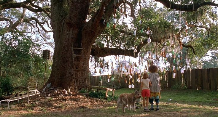 Katrinathoughts's tweet photo. I've thought about that one person's house in Because of Wynn-Dixie a lot since I watched it in the 5th grade. https://t.co/UApG5clK0U