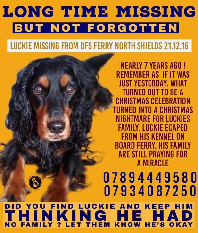 rosiedoc666's tweet photo. #StolenDogHour
LONG TIME LOST
BUT “NEVER” FORGOTTEN
LUCKIE MISSING FROM #FERRY #NorthShields 21/12/16
A xmas celebration turned into a living nightmare
#HelpFindLucky
@JacquiSaid @thedogfinder @HumphriesRita @karensarah66 @joannew0112 @juliagarland73 @muddypawscrime https://t.co/uP4xk7Jqkm