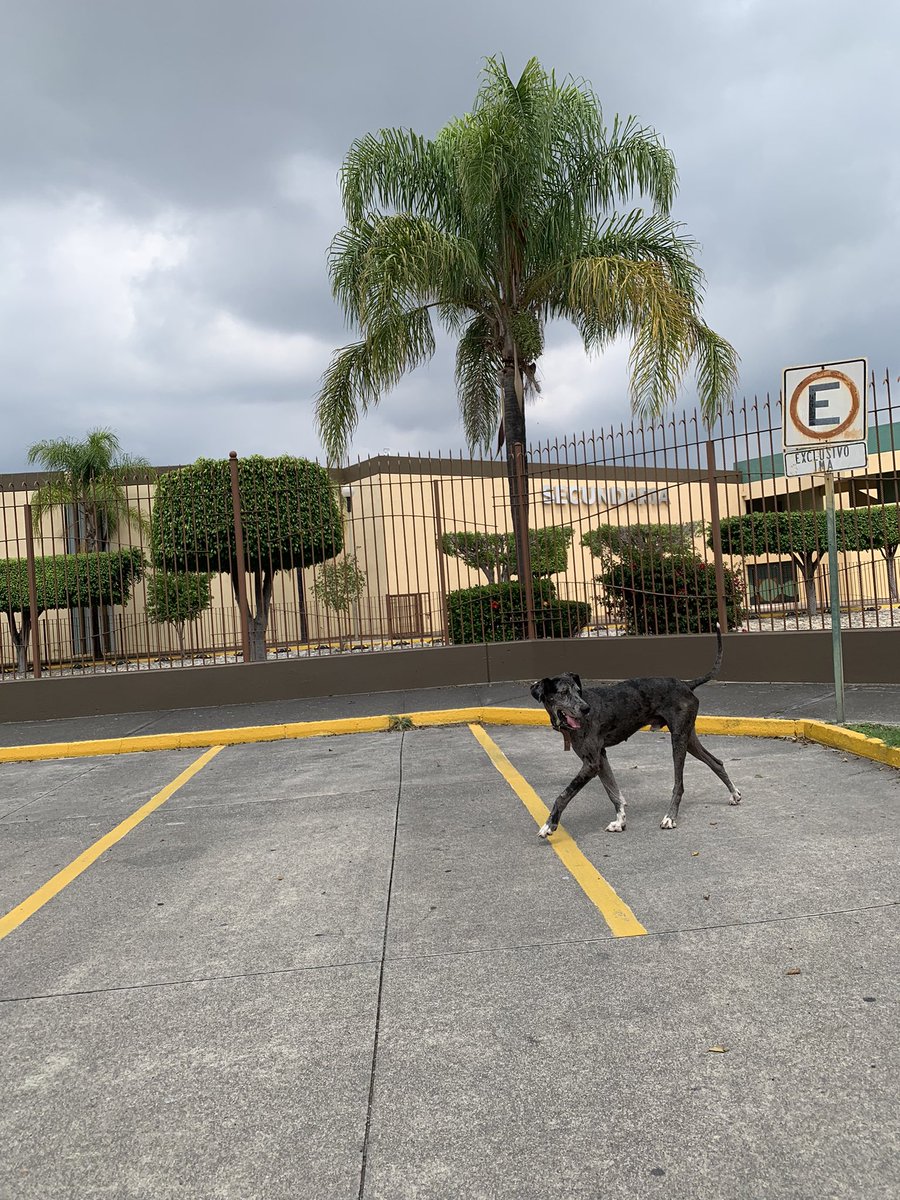 Jesús Velázquez (@_jesusvelazquez) on Twitter photo 