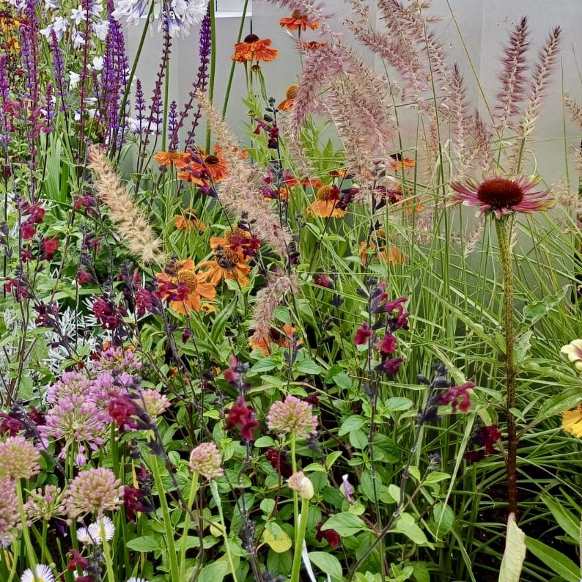 GreenFGeorge's tweet photo. Great vibe at #RHSTatton where I volunteered on the Long Border Gardens.
With it being the last day of the show, I helped with the garden breakdown, so Iβm only just in.
Am proper knackered, off to Bedfordshire π΄
@The_RHS @RHSSchools https://t.co/r0xApGG8rs