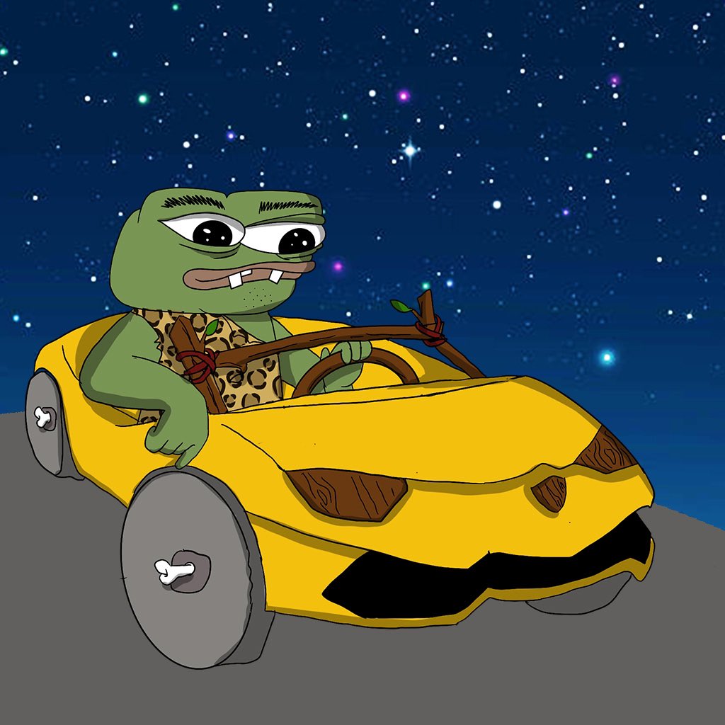 $CROAK driving his lambo 8269 BC