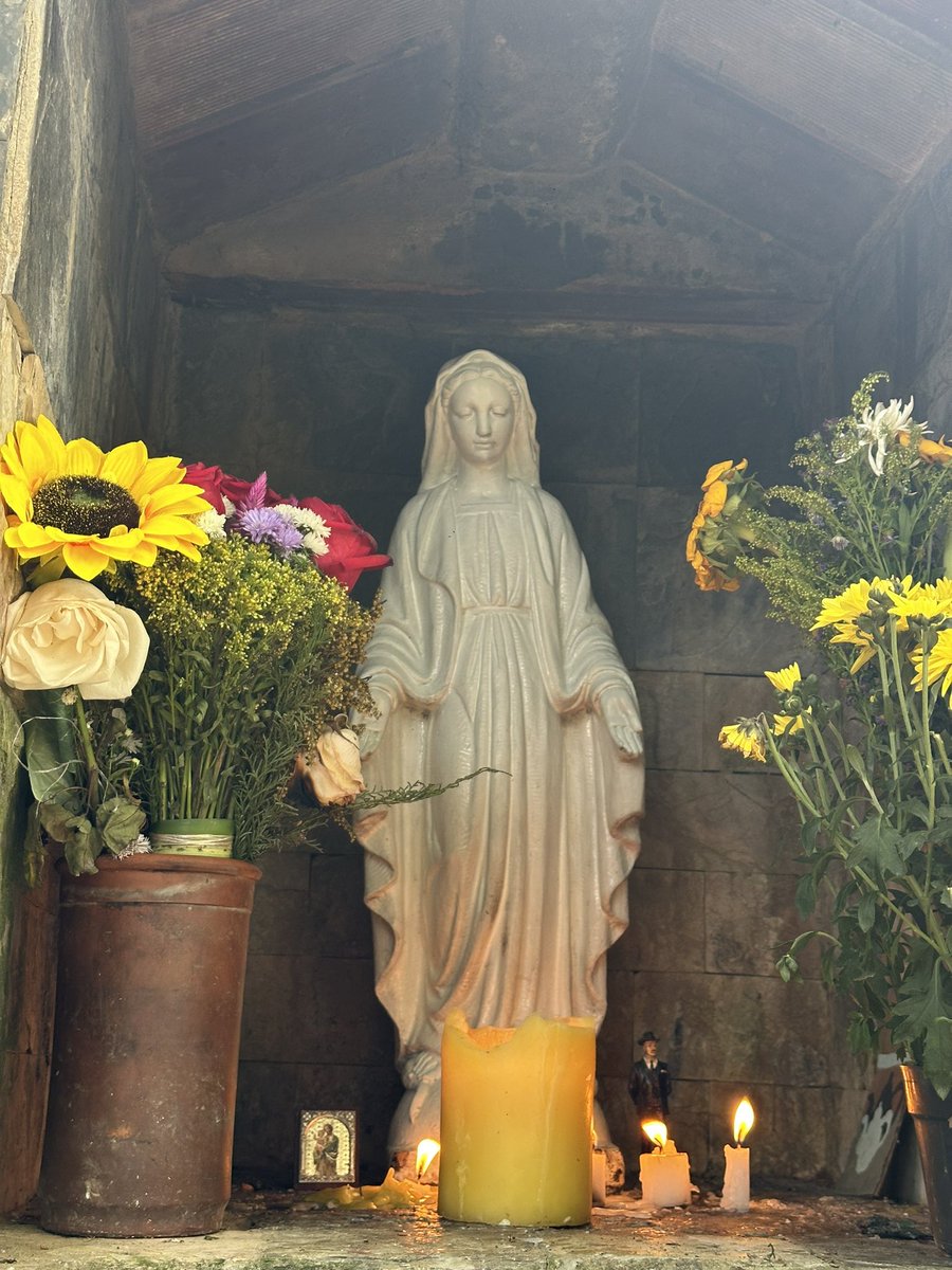 Hoy en Sabas Nieves le saqué esta foto a la Virgen La Milagrosa. Esperando que quienes son creyentes y extrañan subir el Ávila porque se tuvieron que ir a otras tierras, puedan volver a visitarla pronto en libertad.