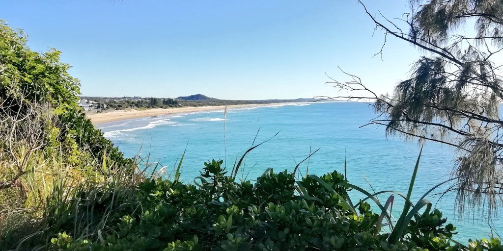 Vics_Echidna's tweet photo. Fabulous beach walk to #Noosa 🏖️ lots of #Butcherbirds🐦⬛ en route. #NatureMatters🌅 #MoveMore💪 https://t.co/UzHq7gDMMx