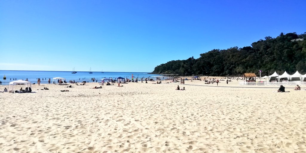 Vics_Echidna's tweet photo. Fabulous beach walk to #Noosa 🏖️ lots of #Butcherbirds🐦⬛ en route. #NatureMatters🌅 #MoveMore💪 https://t.co/UzHq7gDMMx