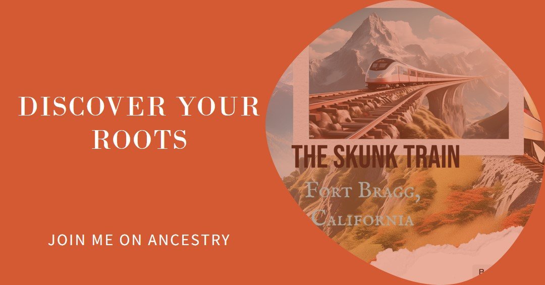 Deborah “Debbi” Cruse (@crusedebbi61223) on Twitter photo 