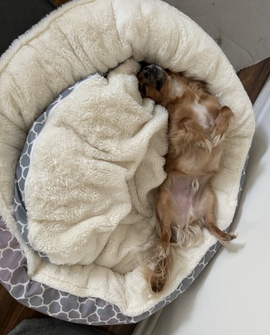 This is how I feel right now lol https://t.co/1kJm0LwQe4