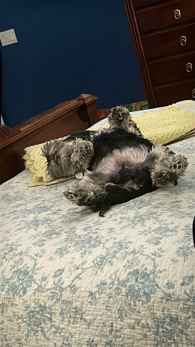 M.A. Roberts tweet media