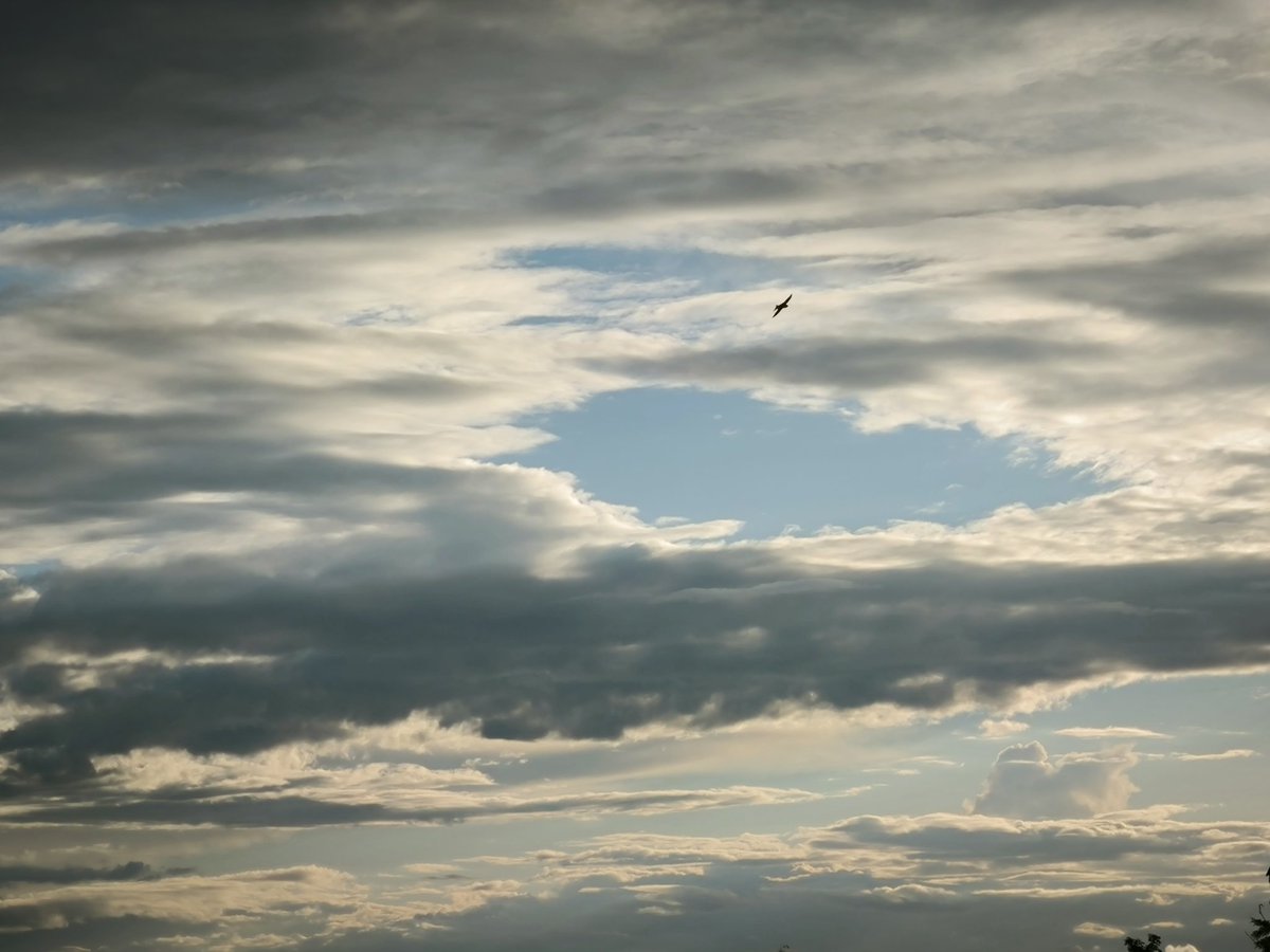 . ❥
       ॐ

Bout de bleu 
Éclaboussure de félicité 

Plonger dans l'immensité
Avant la déchirure

La force 
Plus belle que tout 

Et le courage 
Comme une envolée 

Vivre avec faim
Vivre sans fin

. ❥
       ॐ

#6mots  

📸 ✒️ Môa