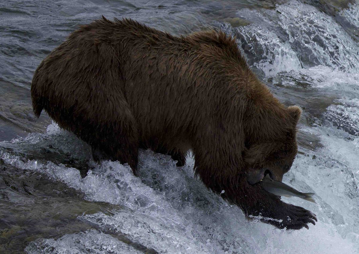 Jason Stefanides tweet media