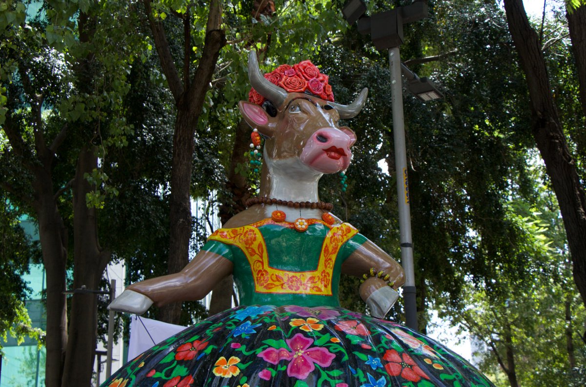 PublimetroMX's tweet photo. ¡Está de vuelta! 🤩🐄

Sobre el Paseo de Reforma está 'CowParade' para homenajear a México y los Juegos Olímpicos 😎🐮

#CowParade #CDMX #JuegosOlímpicos 
https://t.co/e6aDBlN9Ik https://t.co/DPSmuQOomL