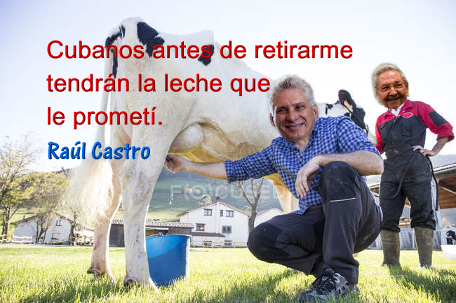 Amapola20202's tweet photo. @DiazCanelB Y el vaso de leche nunca llegó 
Maricones, singaos 🤬🤬🤬 https://t.co/bR2u6s8iYJ