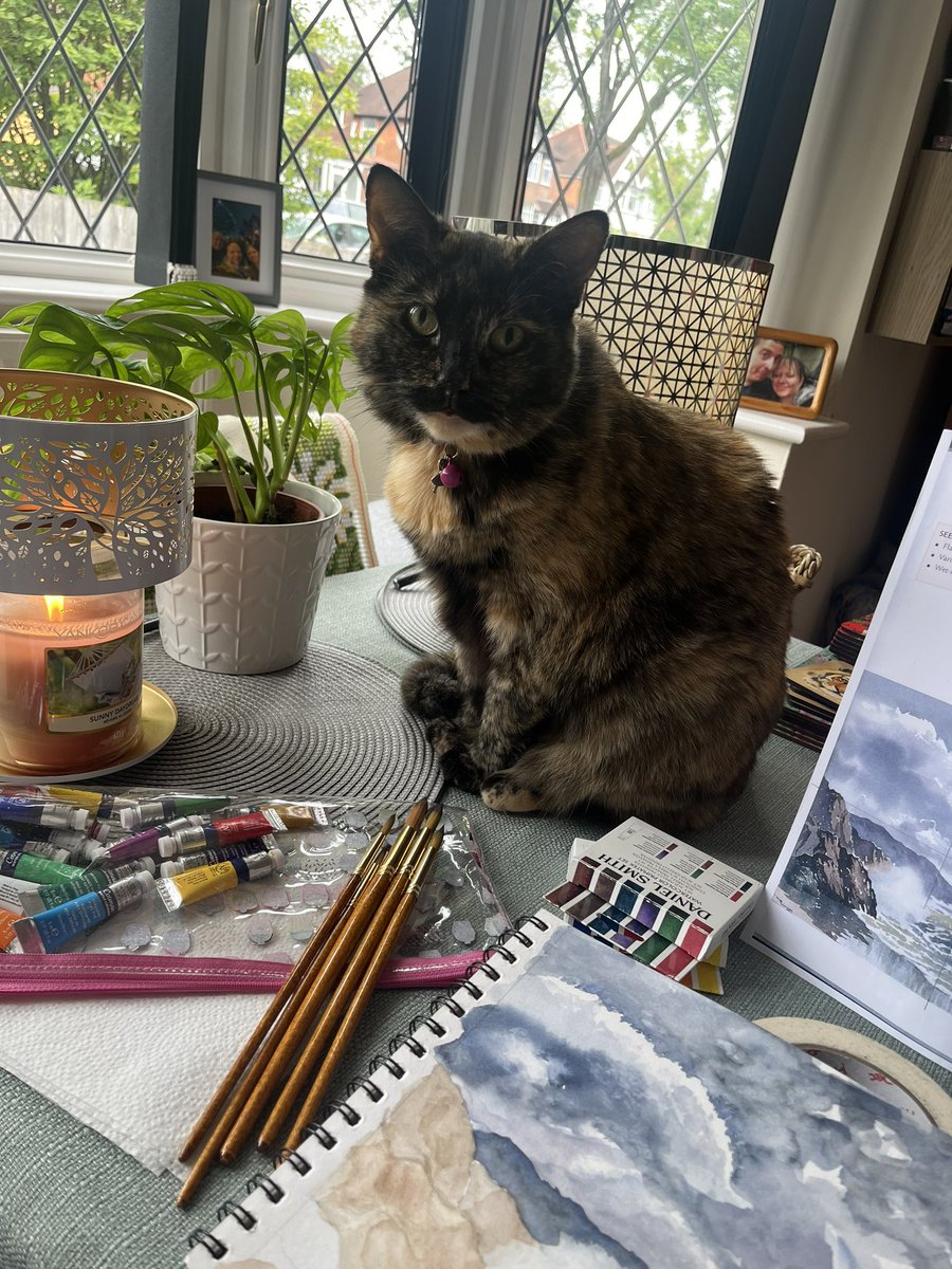 NatCBrooks's tweet photo. I have many helpful assistants when it comes to my crafting! 🐾🪡🧵🐈🎨🖌️🐈‍⬛
#smartie #lilah #ludo #littlehelpers❤️ #lovethemsomuch #cutiepies😘 #specialbabies🐾 #craftingbuddies https://t.co/DVUYCEAwzL