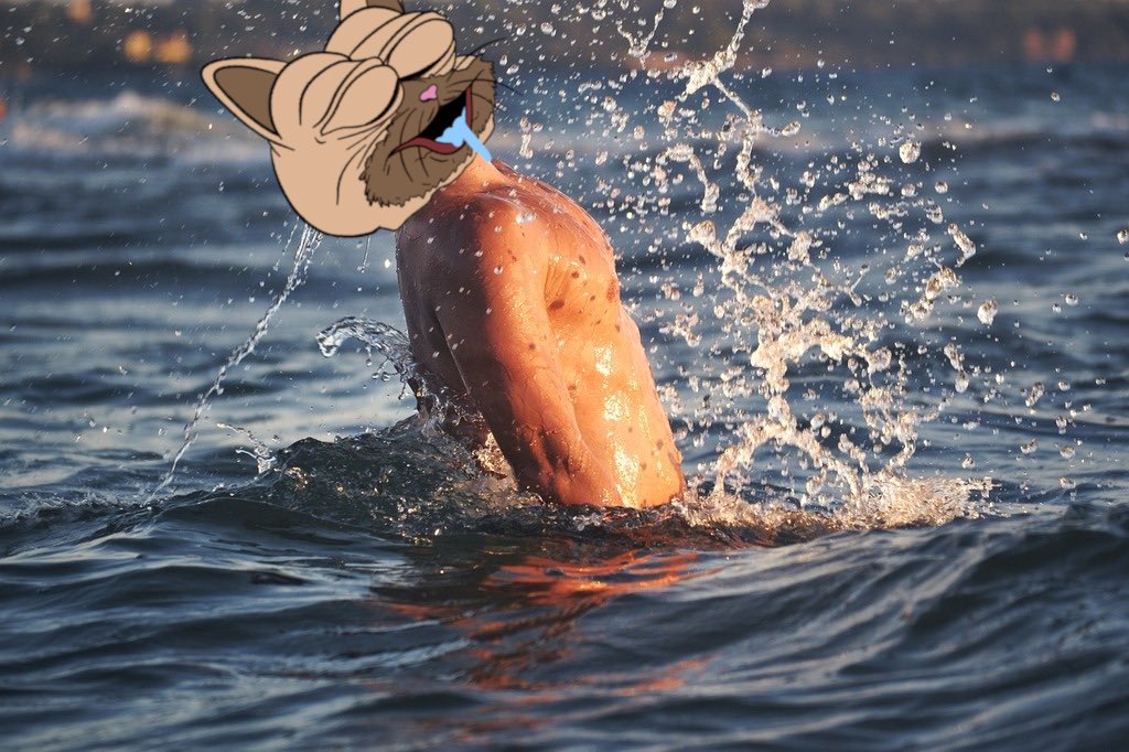 Edward Diamond Hands tweet media