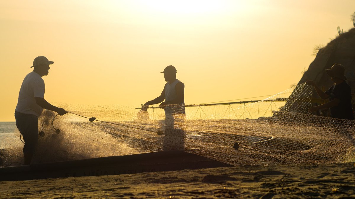 Ancestral tweet media