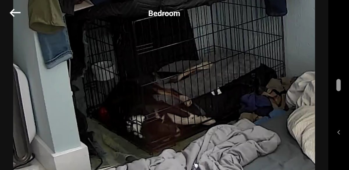 T. Caires Has Left Here tweet media