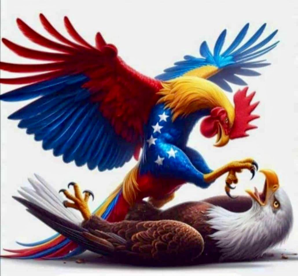 lirapsuv's tweet photo. Este domingo 28 de Julio veremos al Águila gringa pasar trabajo. #YoVoyAMiGalloNico
Venceremos!!! https://t.co/USpFBjwJmB