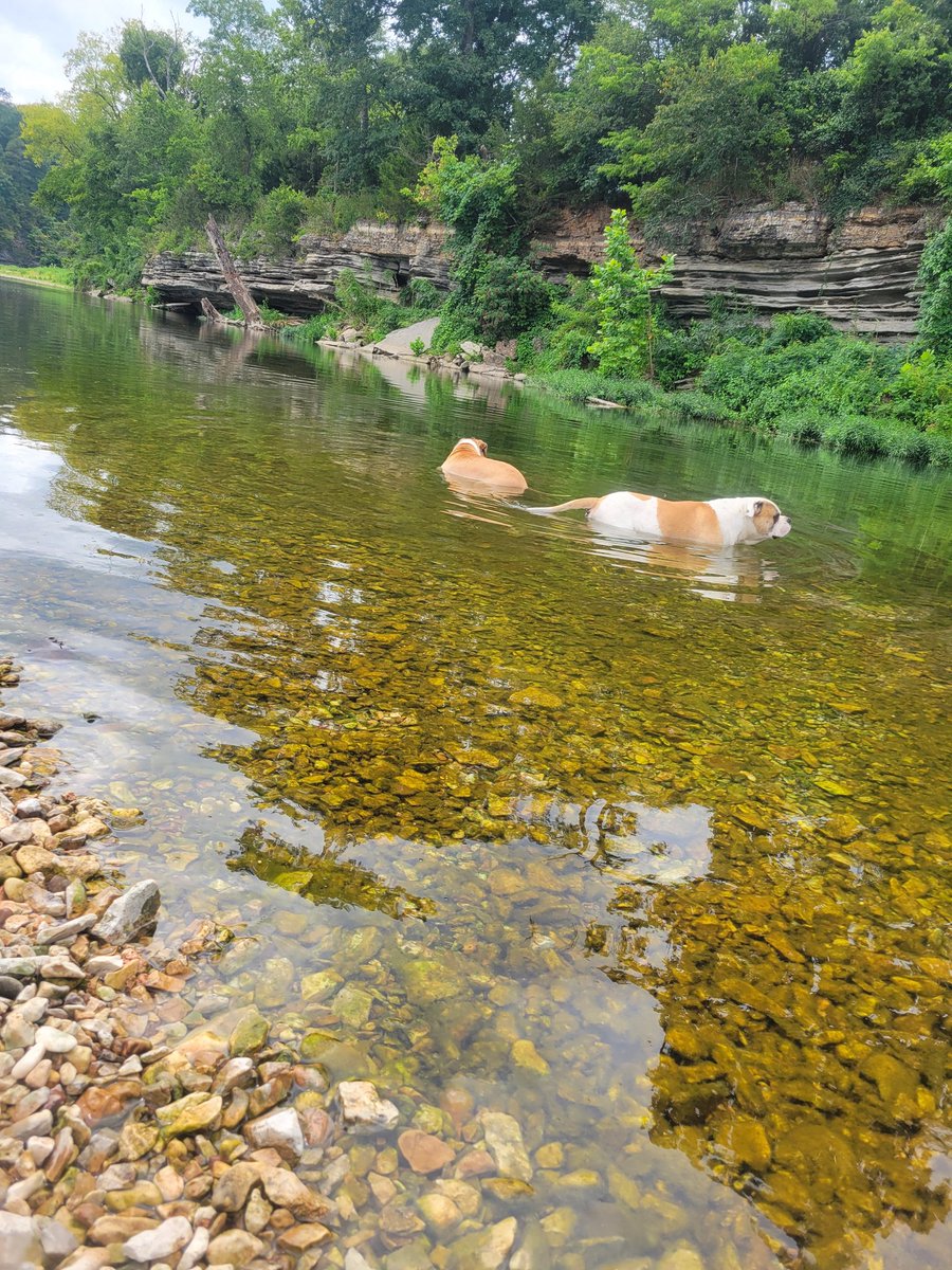 Sam (@peevysam36428) on Twitter photo 