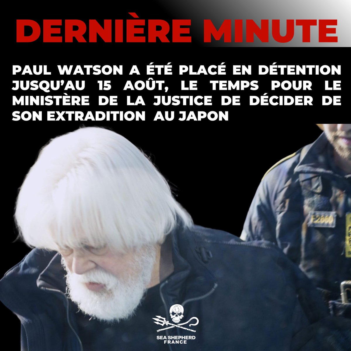 Sea Shepherd France tweet media