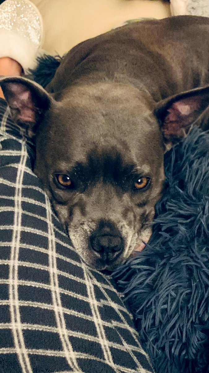 IsaMary2021's tweet image. Hey Mum, I could really do with a little massage/belly rub before bed.  What do you think? 🩷🩷 #IsaMary #ThoseEyes #PamperedPrincess