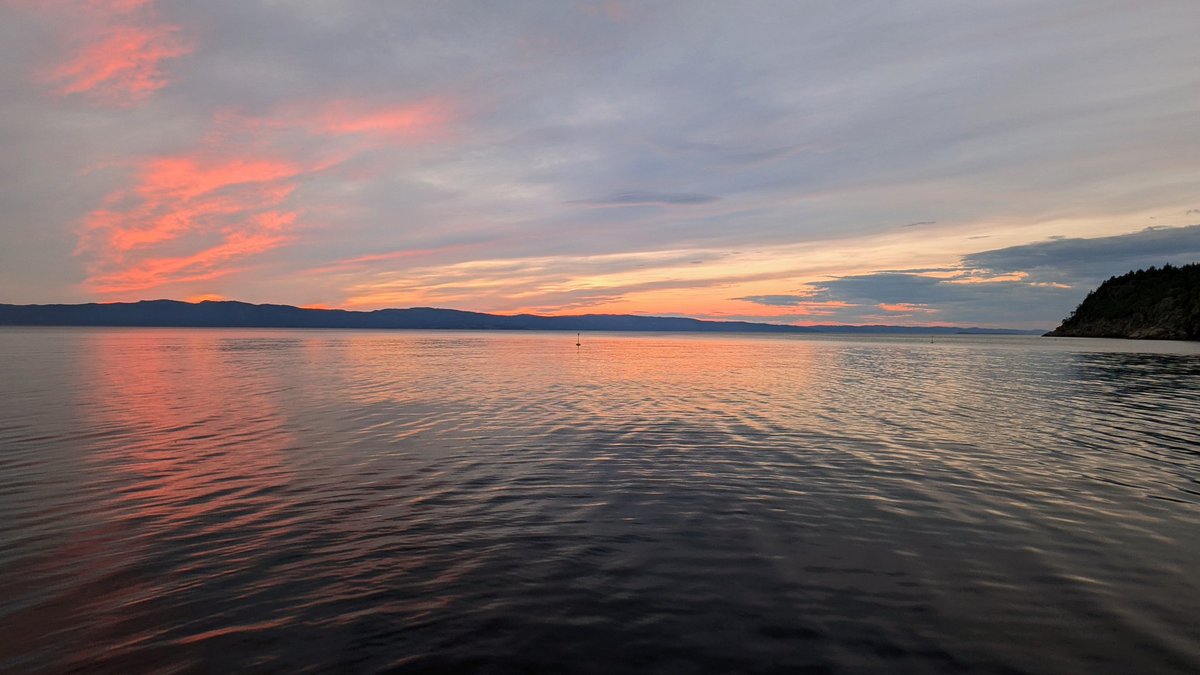 Andy Lewers tweet media