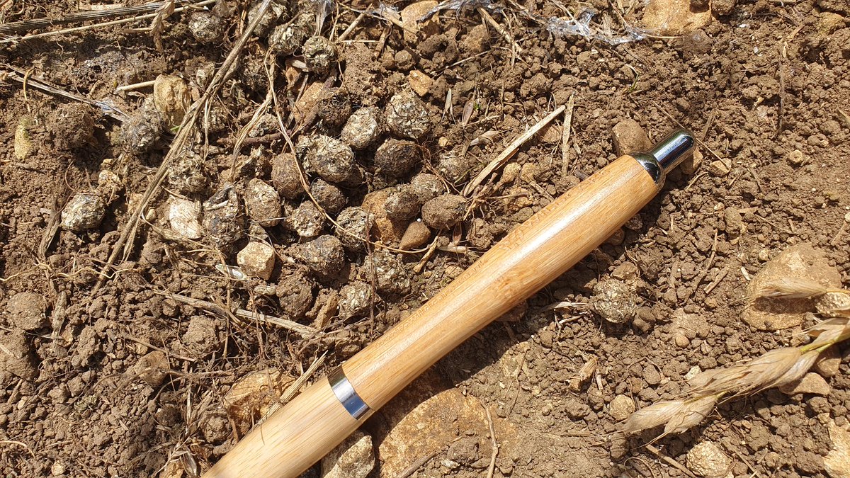 Leics&RutlandMammalGroup (@leicsr) on Twitter photo Great day out at Rutland by Fort Henry recording mammals and getting new records. Historic Water Vole records to follow up too. Rabbit, squirrel and moles recorded <a href="/LeicsR/">Leics&RutlandMammalGroup</a> #watervole #mammals 🐇🐾 Great day out at Rutland by Fort Henry recording mammals and getting new records. Historic Water Vole records to follow up too. Rabbit, squirrel and moles recorded <a href="/LeicsR/">Leics&RutlandMammalGroup</a> #watervole #mammals 🐇🐾