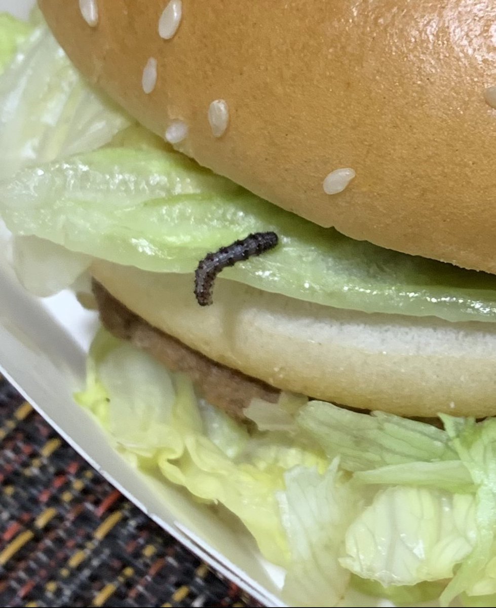 cermenoabc's tweet photo. Acabamos de comprar Mc donalds y le salió un gusano cerote a una de las hamburguesas    ? https://t.co/MFDBcHm8z4