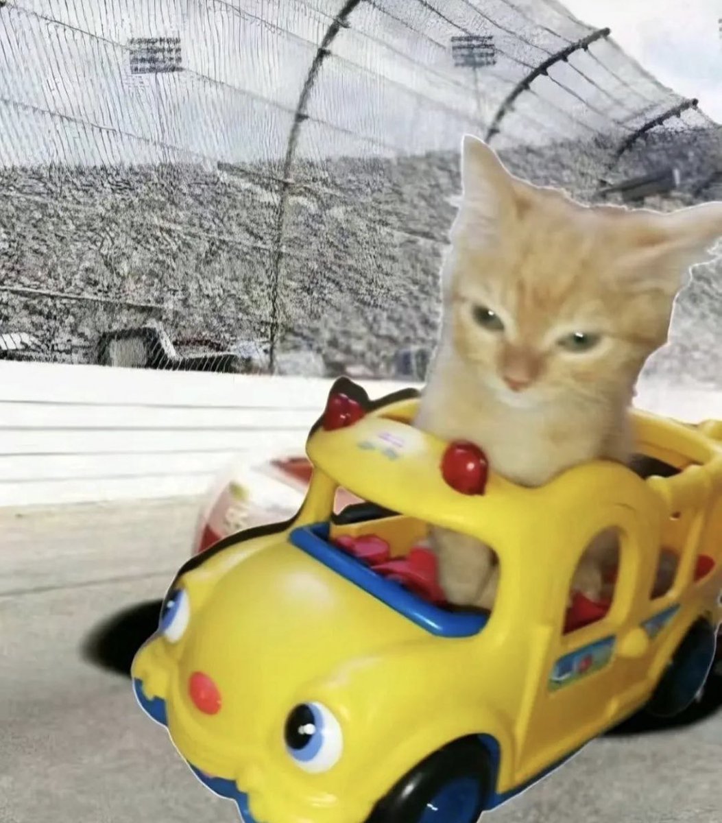 gatinarios's tweet image. vrummmm