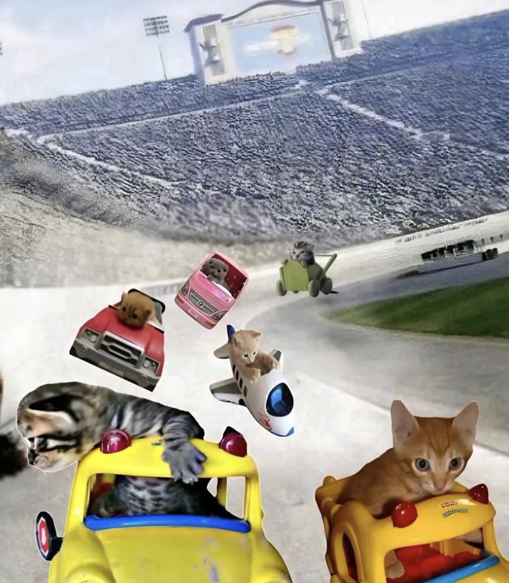 gatinarios's tweet image. vrummmm