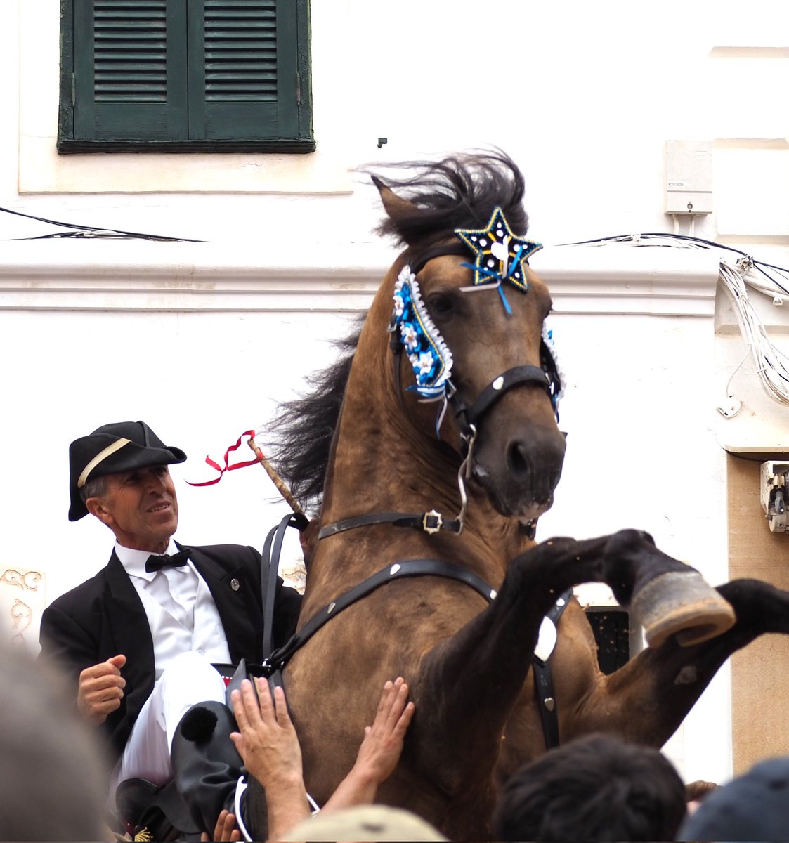 ismartin_amoros's tweet photo. 57 cavalls i els seus bots donen sentit a una celebració preciosa, la del "Jaleo" de les Festes de Sant Martí des Mercadal, a Menorca.
#jaleo #esmercadal #santmartí #menorca https://t.co/OxkEEL4R57