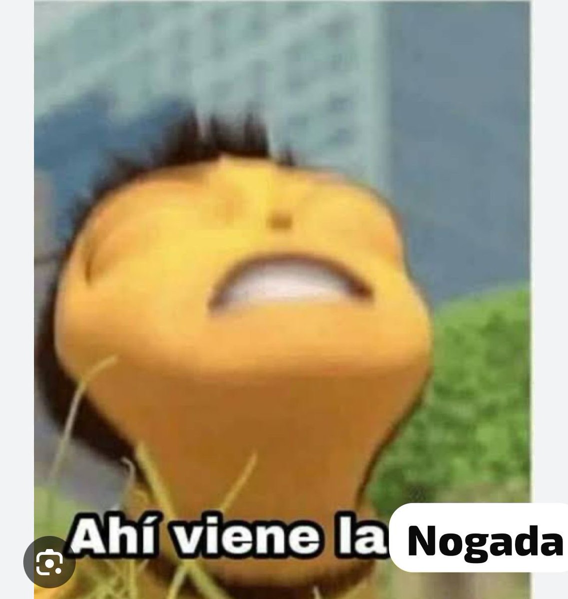 bad_ciri's tweet photo. @mexicomagico https://t.co/5apnxHYMC0