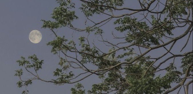 Faj11er's tweet image. 