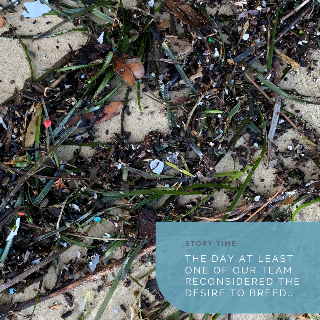 CoxPurtell's tweet photo. Manly Cove tideline. On a calm day. No recent weather events. No higher-than-normal tides. We’ve come armed with @take3forthesea hessian sacks to collect litter off the beach. A distinct lack of whole pieces of plastic or any discernible waste confronts us thanks to the beach ... https://t.co/H0Pmu4ehhi