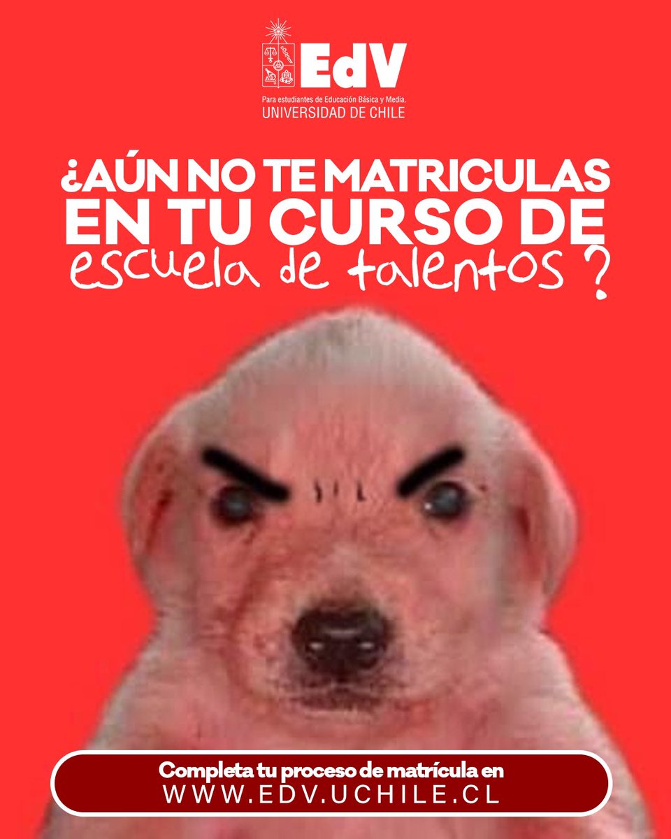 EdV_UChile's tweet photo. 🚨ÚLTIMA OPORTUNIDAD DE MATRICULARSE🚨Quedan pocas horas para cerrar el proceso de matrículas 😱 Y tú ¿Quieres vivir la nueva experiencia EdV?🤩 https://t.co/Kh0NXrq3S0 https://t.co/nYdL1BV8PA