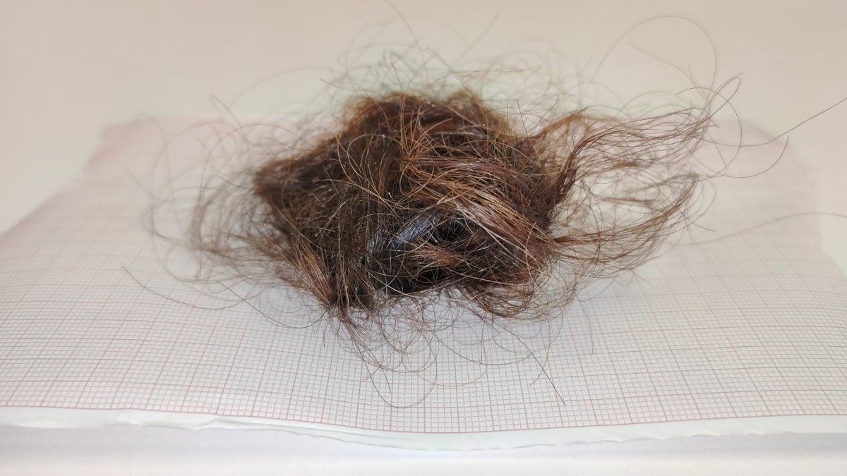 Hoy en MAS ENRIC, una interna ha intentado asfixiar a una funcionaria , hemos de dar gracias a que se rompiera el cordón utilizado. Todo por indicar a la interna que se han de cumplir las normas de convivencia básicas. Dimisiones ya #QueremosVolverVivosACasa #TotsSomNuria