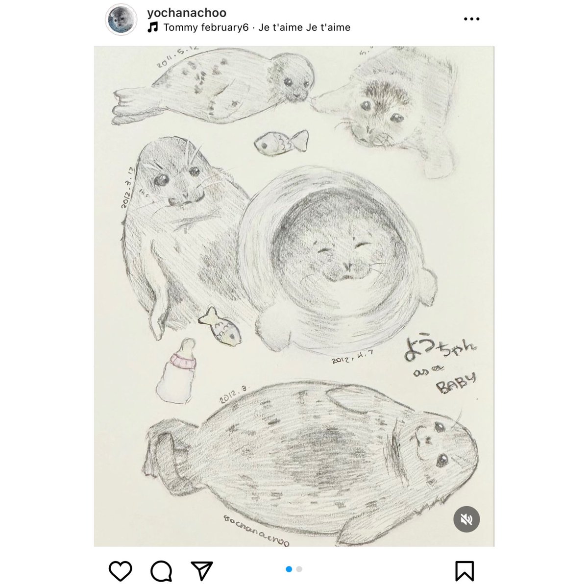 allison 🦭 tweet media