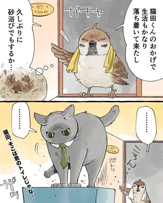 #今日の山野絵 
#ねことりーまん その40

社鳥と猫田くんの同居生活その後🏠 